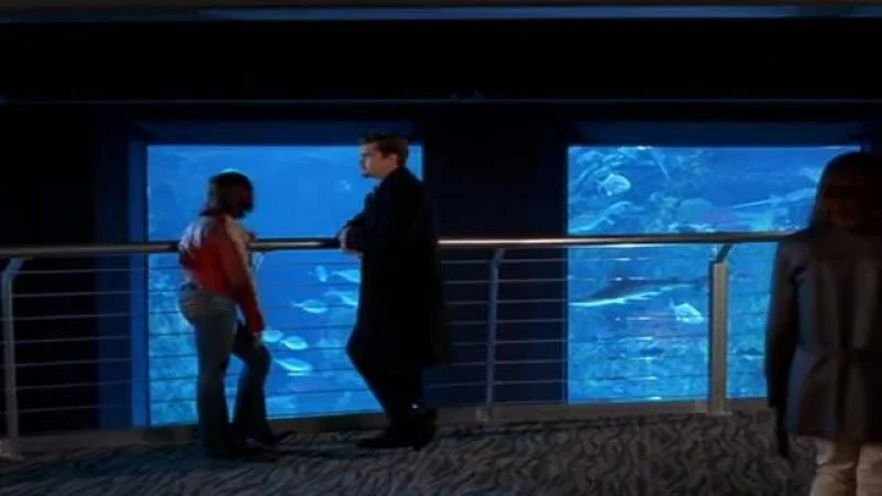 Кадры из сериала Бухта Доусона (1998)